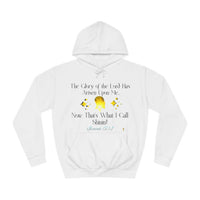 The Glory Of The Lord Unisex Relaxed Fit Hoodie-KVOM